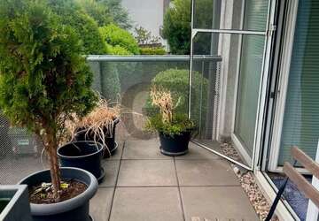 Wohnung Darmstadt Darmstadt-Ost - 2 Zimmer, 58 m&sup2;, 1.300&euro; | Angebot:27187824