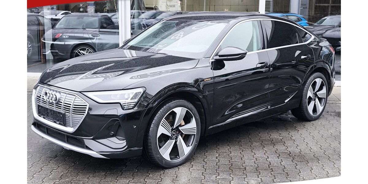 Audi e-tron 97.500 km 23.950 &euro; Dieburg 64807