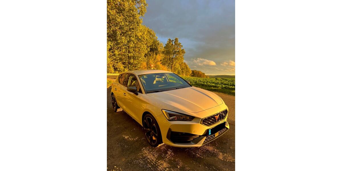 Cupra Leon 65.000 km 20.500 &euro; Breuberg 64747