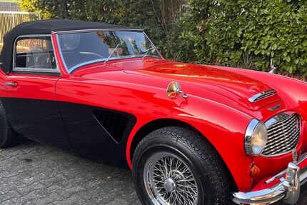Austin Healey Andere 5.200 km 49.500 &euro; Bensheim 64625