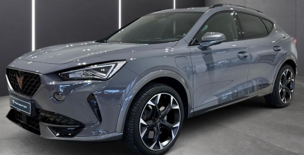 Cupra Formentor 99.800 km 22.999 &euro; Frankfurt 60386