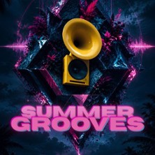 Summer Grooves 22.08.2026 Galerie Kurzweil