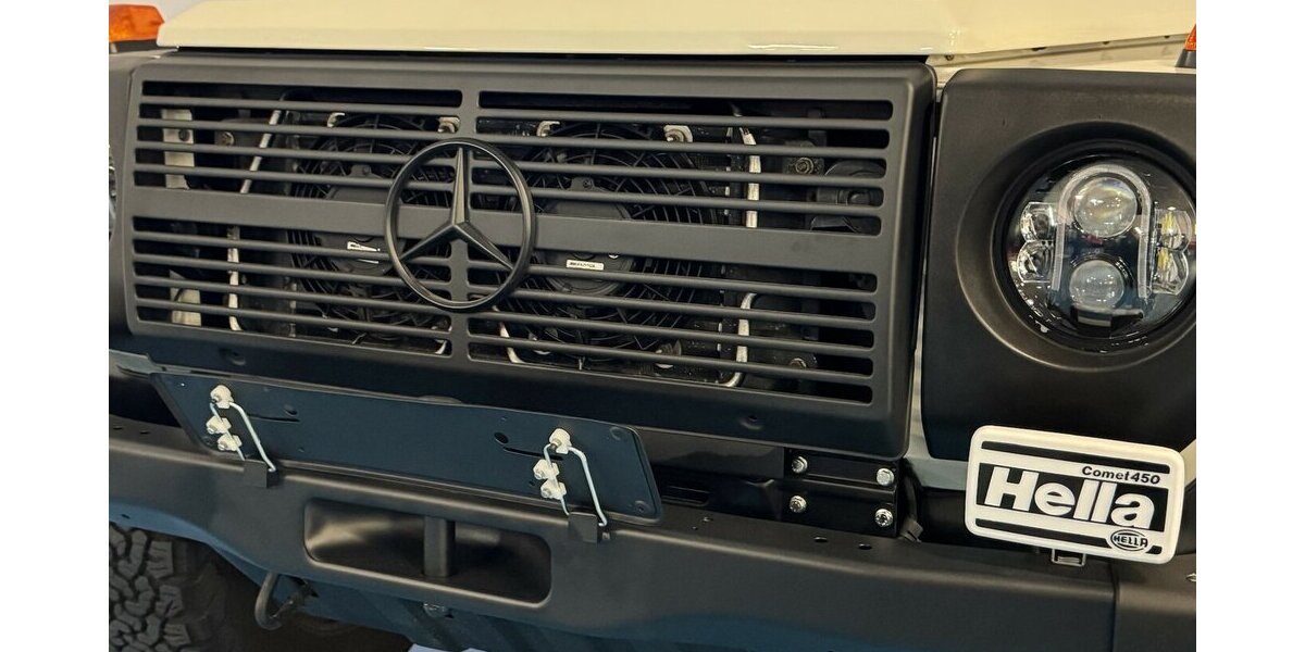 Mercedes-Benz G 280 CDI Professional BF-Goodrich ORC Dachtr. 184.500 km 66.500 &euro; Dreieich 63303