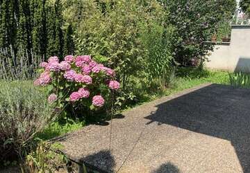 Wohnung Frankfurt am Main Nord-West - 2 Zimmer, 75 m&sup2;, 1.000&euro; | Angebot:27349875
